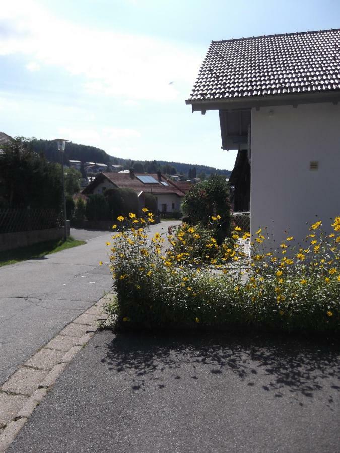 Fewo 2 Am Fischerweg Bodenmais Exterior foto